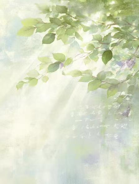 信纸3