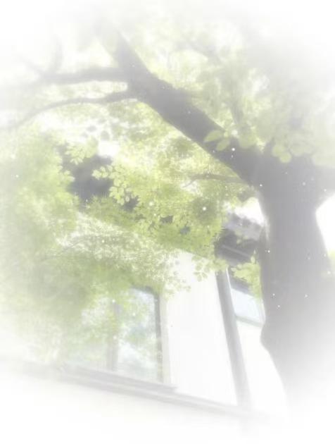 信纸4