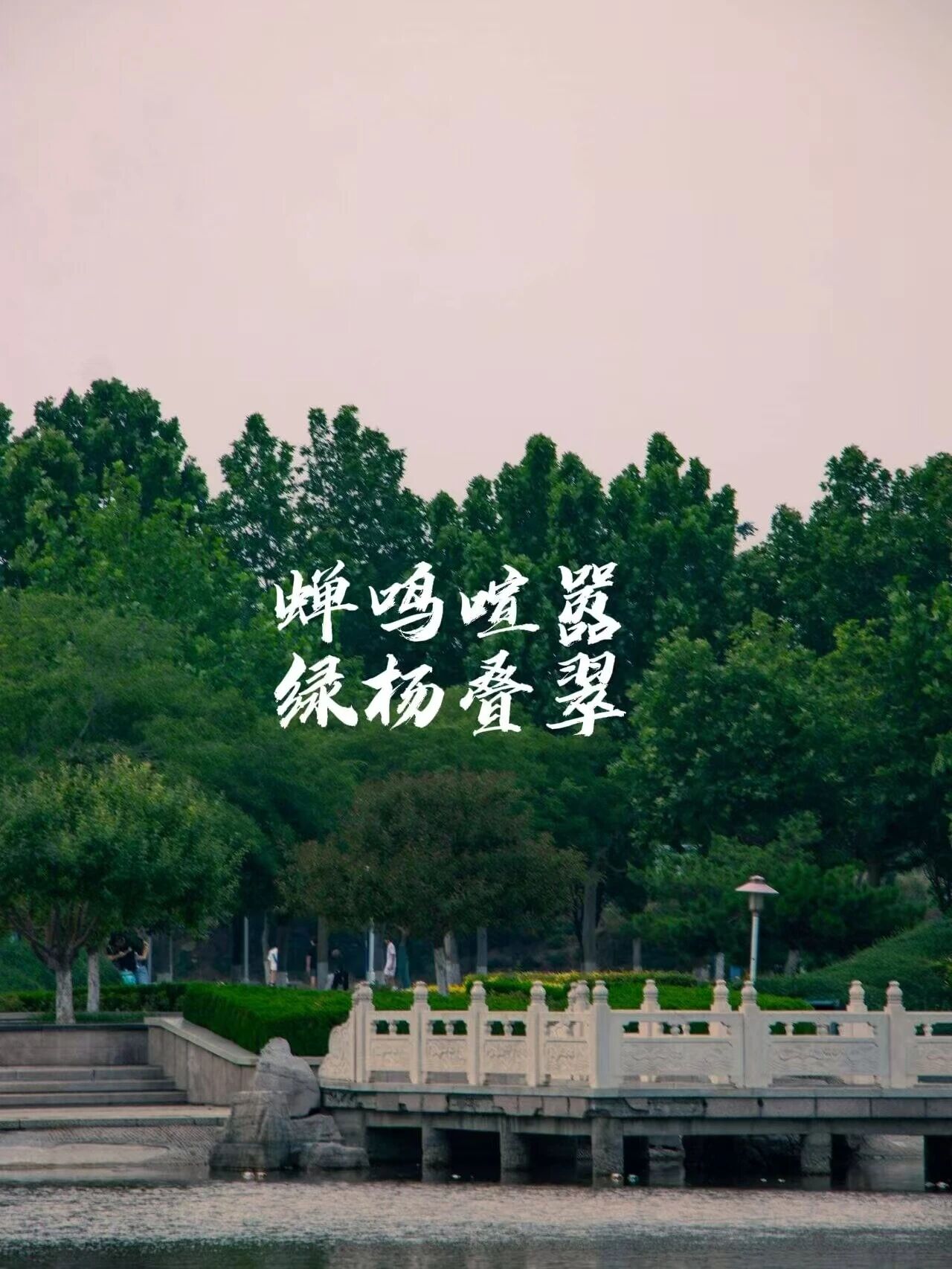 夏日学习