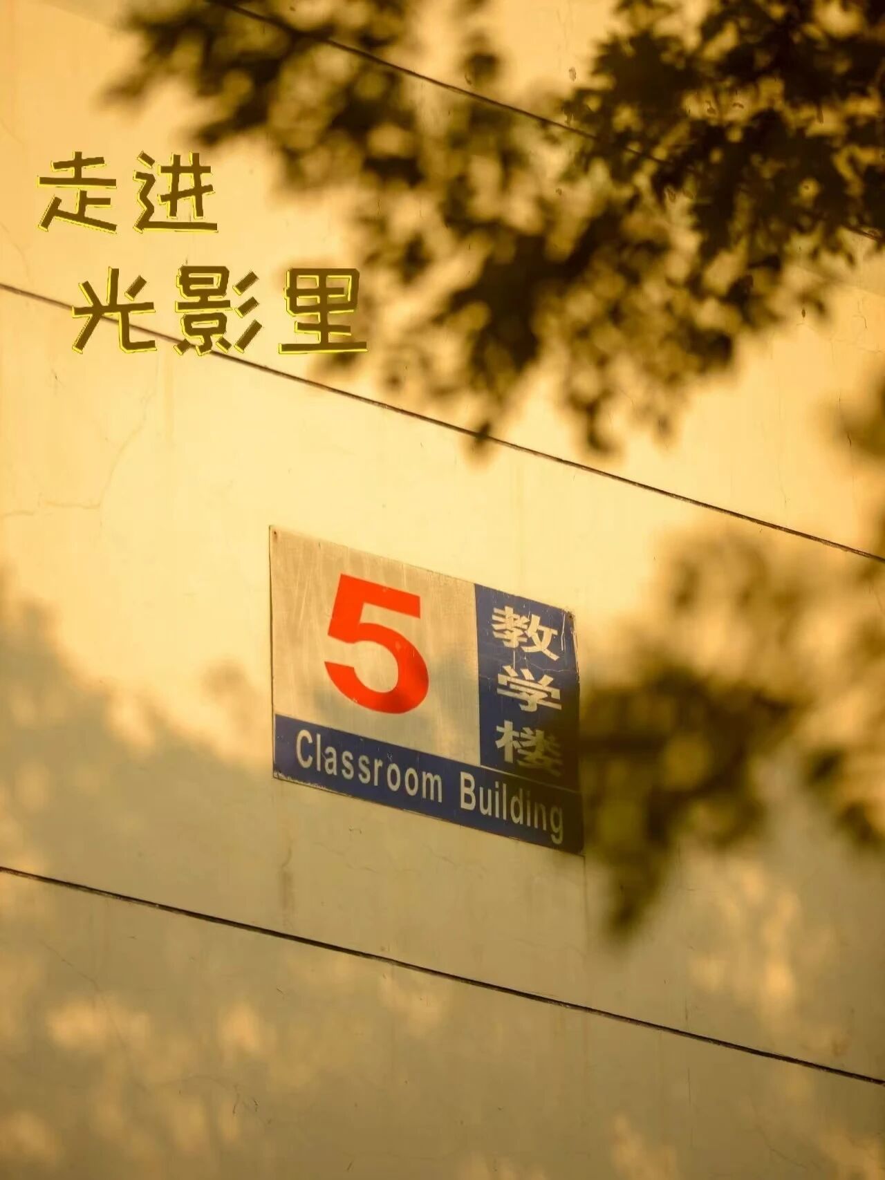 冬日校园